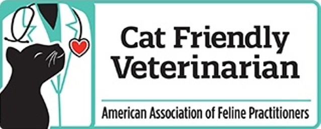 Cat Friendly Veterinarian